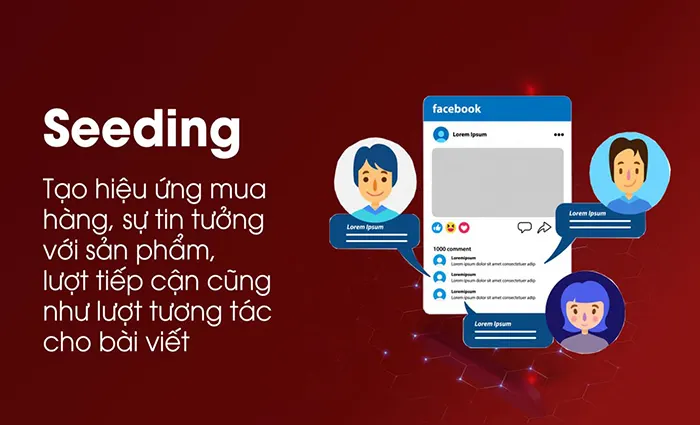 Seeding, chatbot, tool 3 seeding chatbot